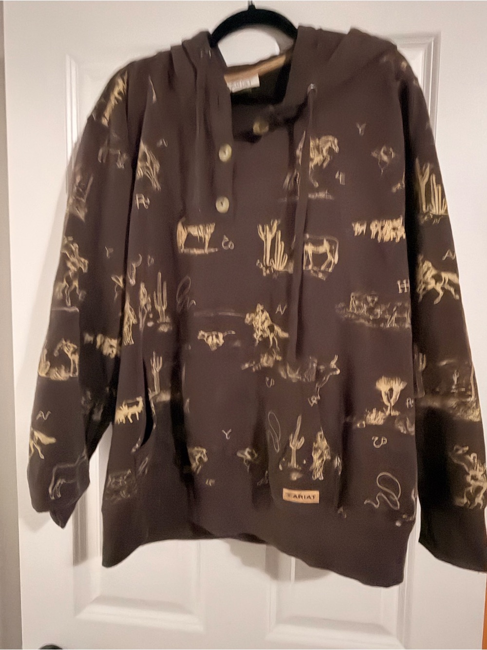 Ariat Brown Hoodie with Tan Western Desert Print